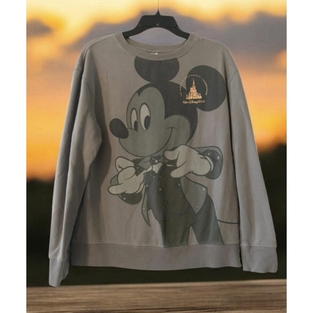 Disney World Sweatshirt‎ mickey mouse 50th anniversary pullover Size Small RARE